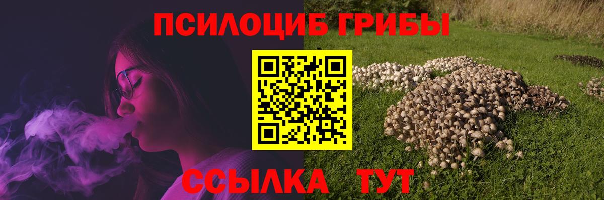 Краснодар  Галлюциногенные грибы Magic Shrooms  Вход с VPN  Галлюциногенные грибы MAGIC MUSHROOMS 